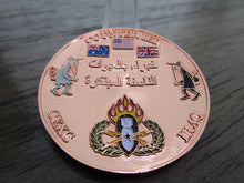Load image into Gallery viewer, CEXC Counter IED EOD Task Force Combine Explosive Cell Spy vs Spy Challenge Coin
