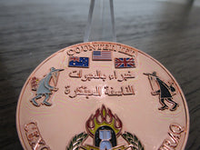 Load image into Gallery viewer, CEXC Counter IED EOD Task Force Combine Explosive Cell Spy vs Spy Challenge Coin