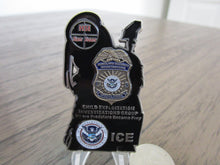 Load image into Gallery viewer, San Juan Puerto Rico HSI ICE Child Exploitation Group Predator Challenge Coin
