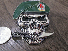 Load image into Gallery viewer, 1st Special Forces Delta Force JSOC SFOD-D We Don't Exist Skull Challenge Coin