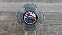 Load image into Gallery viewer, FAM FAMS Federal Air Marshal Punisher Celtic Style Challenge Coin
