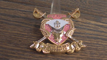 Load and play video in Gallery viewer, USN Goat Locker Approved Deckplate Certified Female Chief CPO Pink Challenge Coin
