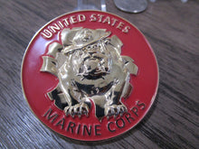 Load image into Gallery viewer, United States Marine Corps USMC Bulldog Don&#39;t Fear me Reaper USMC Challenge Coin
